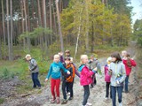 Sprzątanie Świata 2014 - podsumowanie (19)